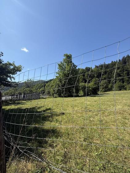 Teren de 3500 mp, în Cuejdiu