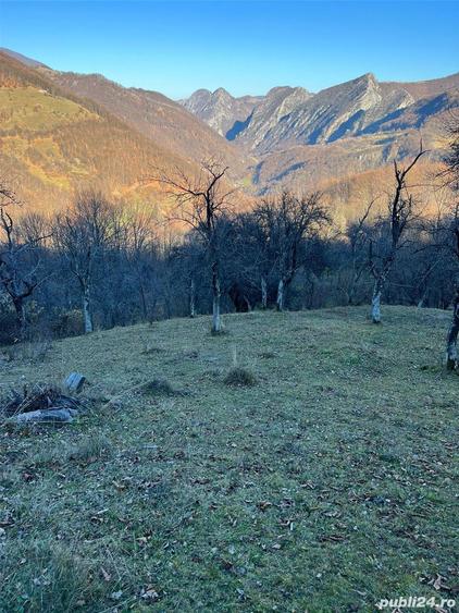 Teren de 30000 mp, în Cornereva