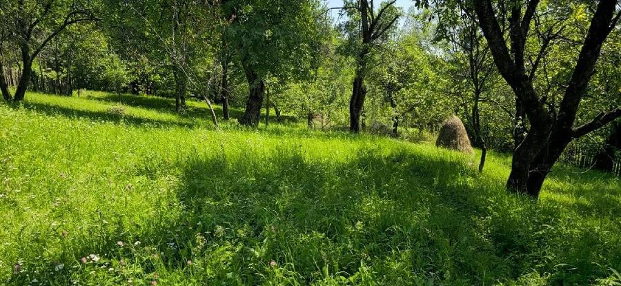 Teren de 9000 mp, în Secăria