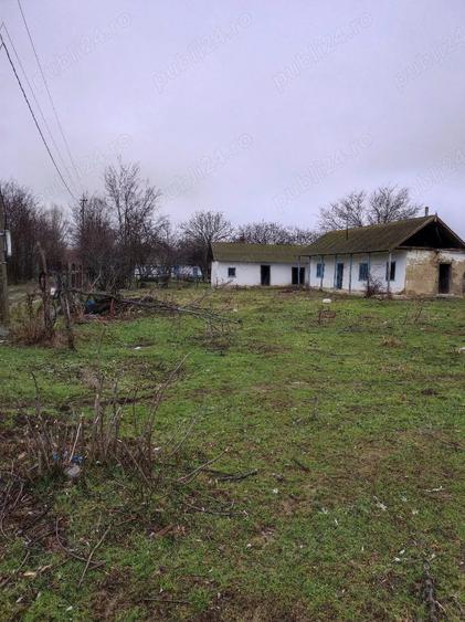 Teren de 8140 mp, în Băltenii de Jos