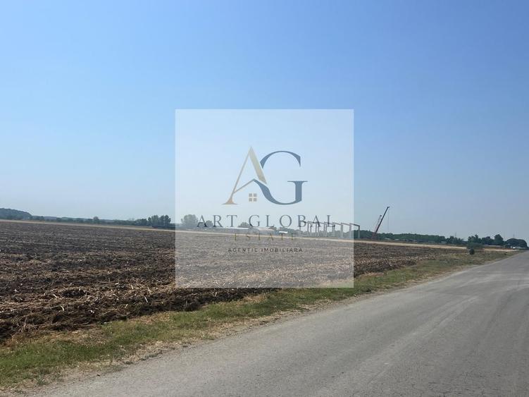 Teren Construcții intravilan de 65600 mp, în Căciulați
