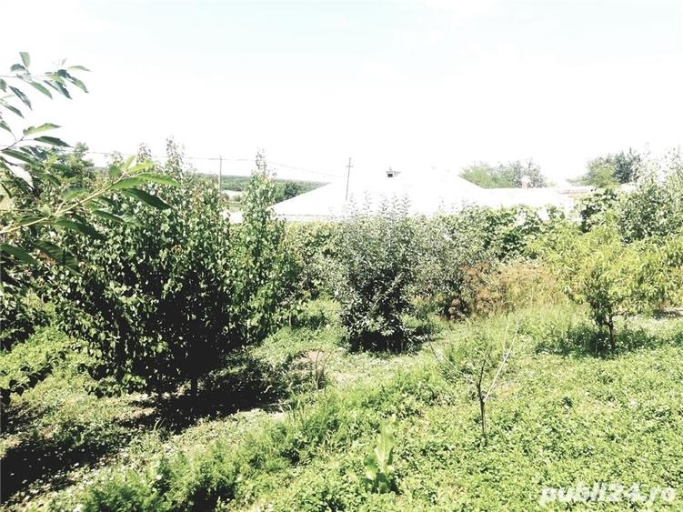 Casă cu 4 camere cu Teren 5000 Mp în Valea Mărului