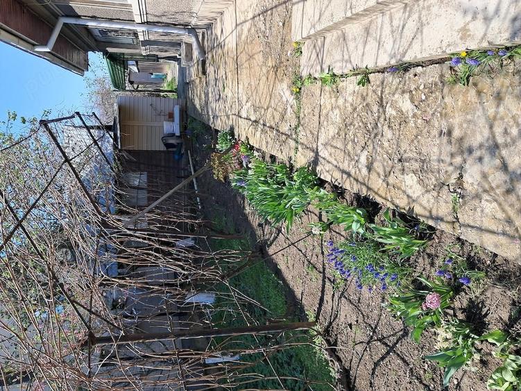 Teren de 896 mp, în Berceni