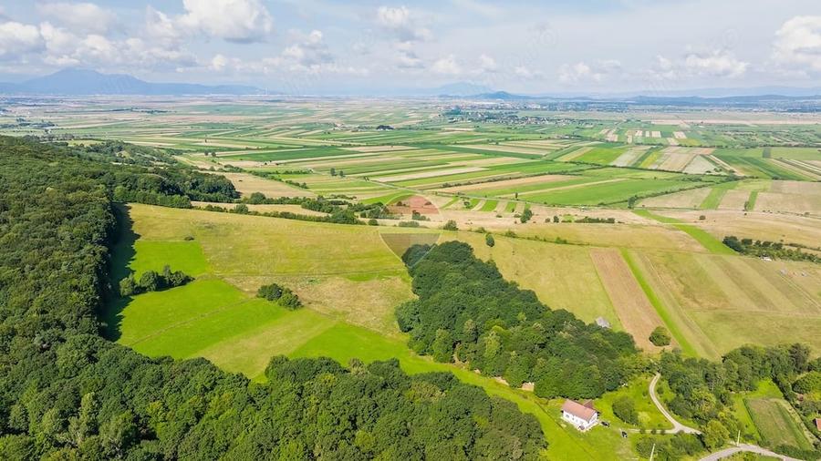 Casă cu Teren 16873 Mp în Mărcuș