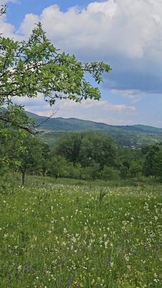 Teren de 600 mp, în Ghioșești