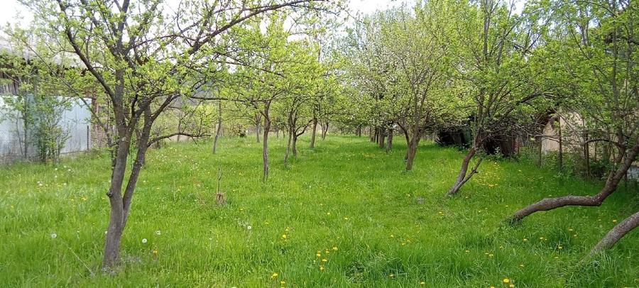 Teren agricol intravilan de 1800 mp, în Valea Siliștii