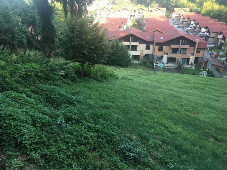 Teren Construcții intravilan de 2900 mp, în Dârste