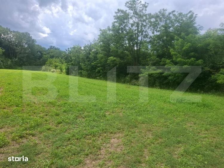 Oaza de liniste! Teren intravilan 1.000 mp in Sotanga Ideal pent - 2