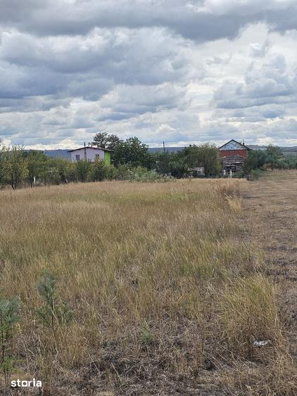 Teren de 2000 mp, în Saca