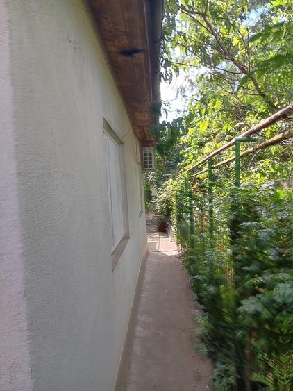 Colentina, Gherghitei - 12