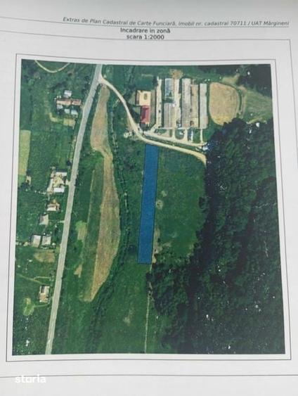 Teren de 3500 mp, în Mărgineni