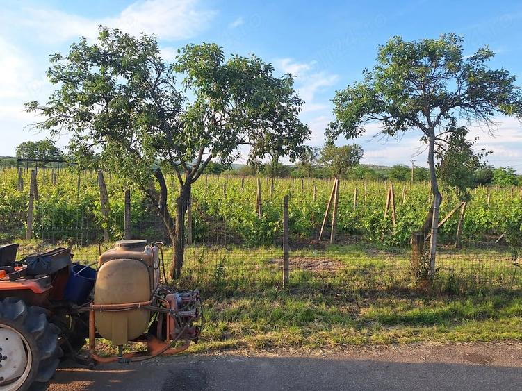 Teren de 2700 mp, în Valea Călugărească