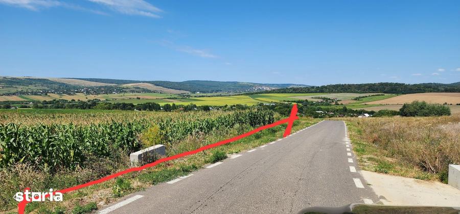 Teren de 21000 mp, în Scânteia