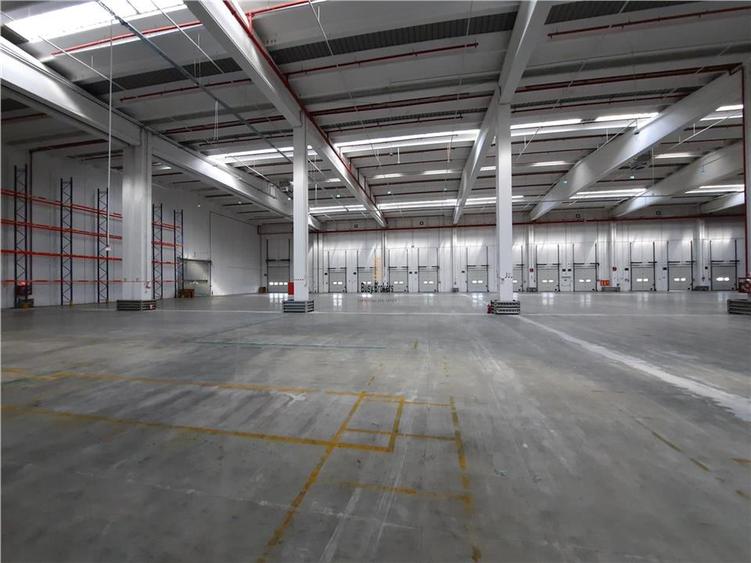 Spatiu Industrial - 5000 mp - Logistica - Depozitare - Distributie - 18