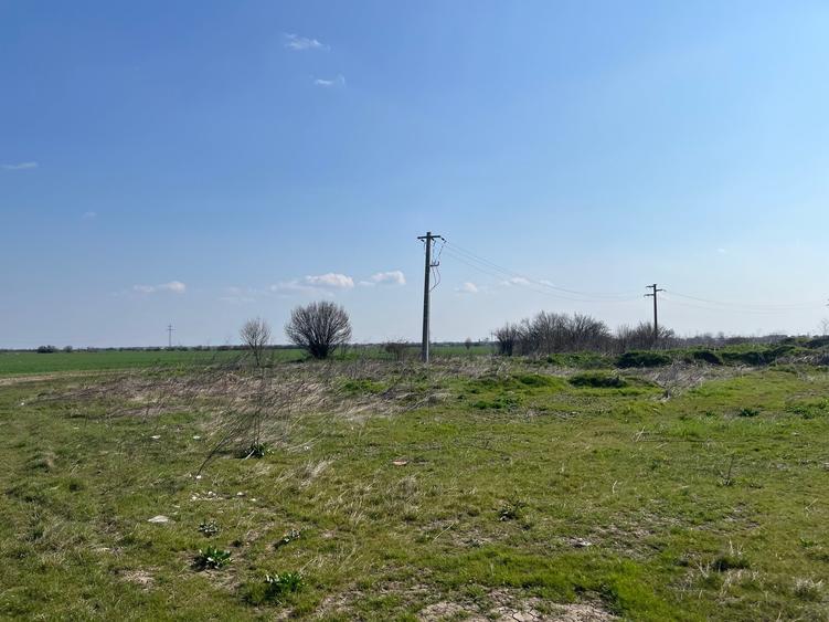 Teren Construcții intravilan de 5000 mp, în 1 Decembrie