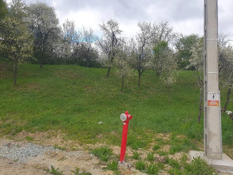 Teren de 1600 mp, în Groși