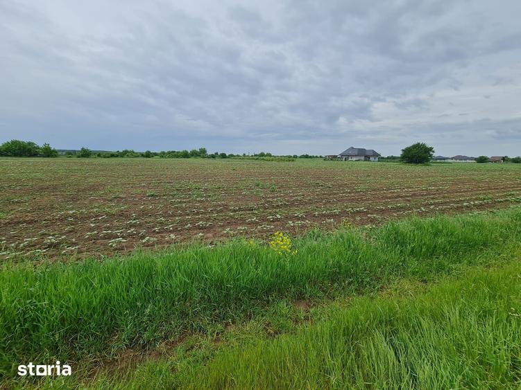 Teren de 1500 mp, în Moara Vlăsiei