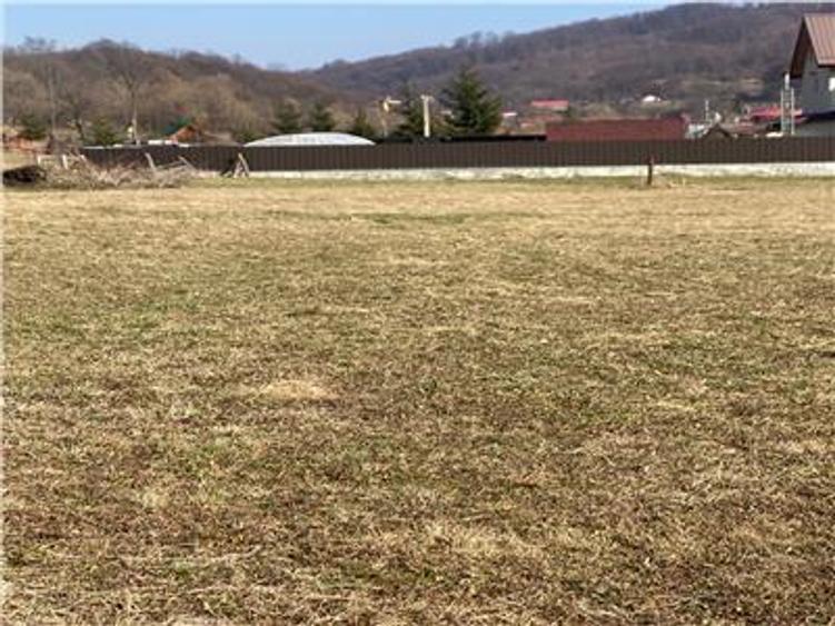 Teren Construcții intravilan de 2680 mp, în Est