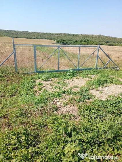 Teren de 6100 mp, în Bencecu de Jos