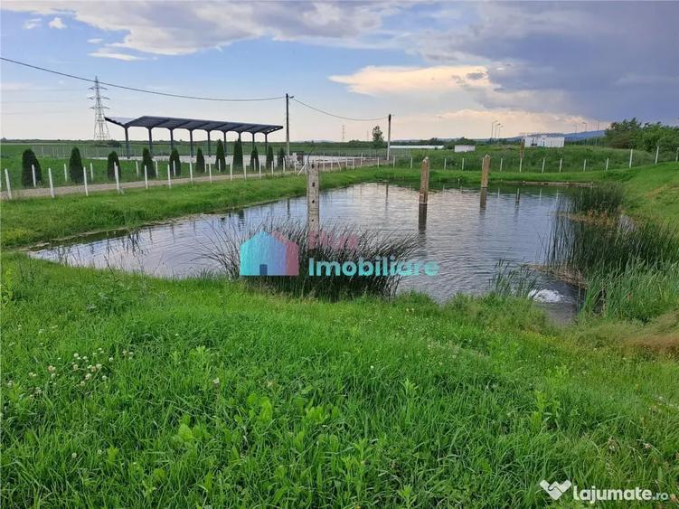 Casă cu 6 camere cu Teren 10000 Mp în Fântâna Mare