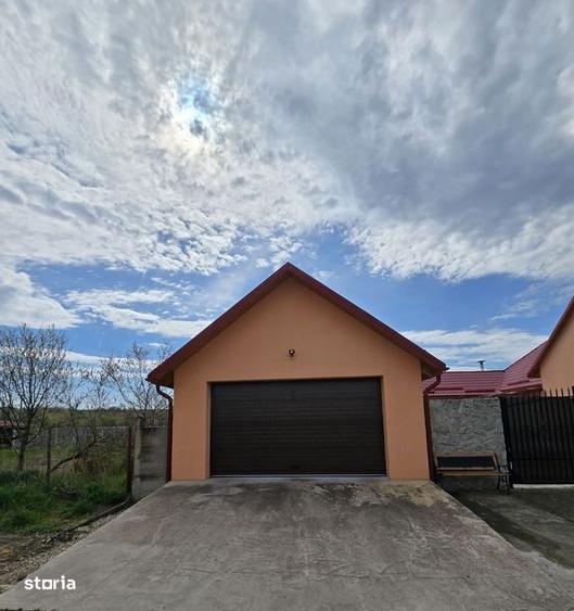 Casa renovata, cu 2924 mp teren. Front stradal 38 m. Garaj 2 masini. - 3