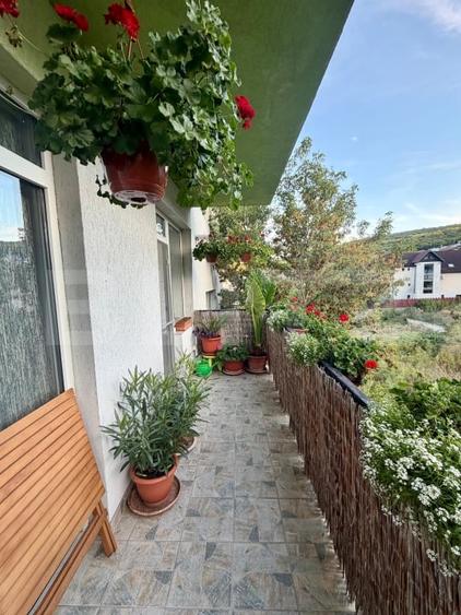Apartament cu 3 camere decomandat, mobilat în Mănăștur