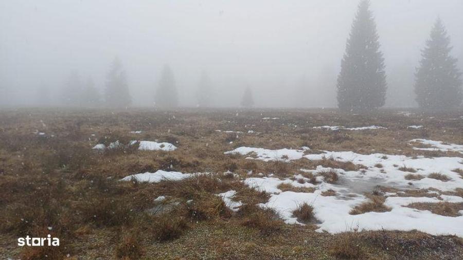 Teren de 2000 mp, în Central