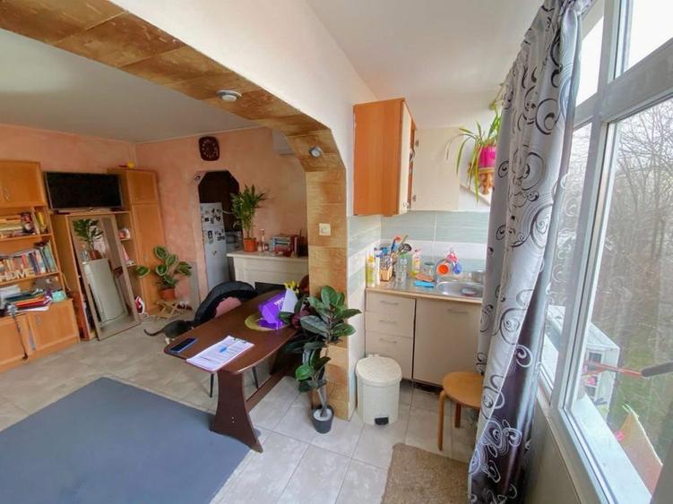 Apartament cu 2 camere semidecomandat în Brazda lui Novac