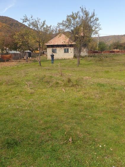 Casă cu 2 camere cu Teren 3600 Mp în Balotești