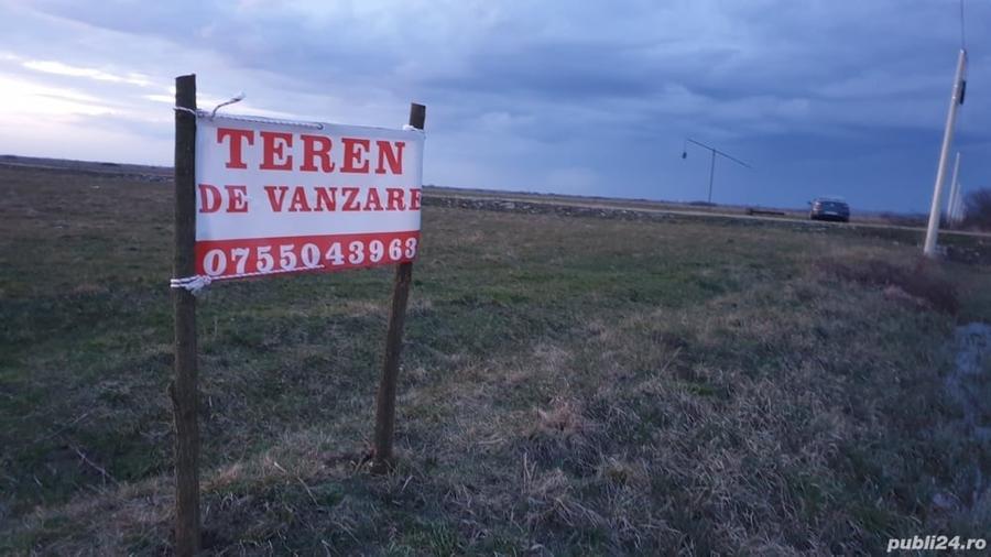 Teren de 25300 mp, în Lazuri