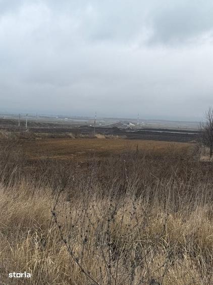 Teren de 12500 mp, în Nicolae Bălcescu