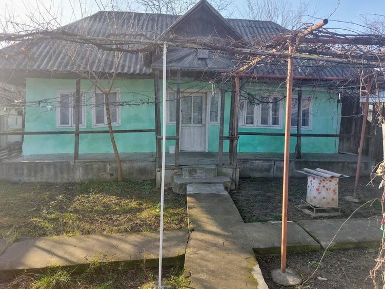 Casă cu 3 camere în Soci