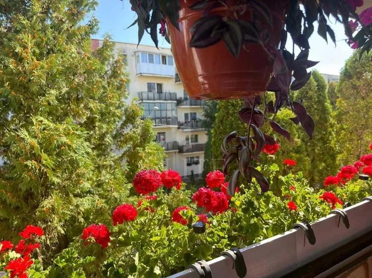 Apartament cu 4 camere decomandat în Mănăștur