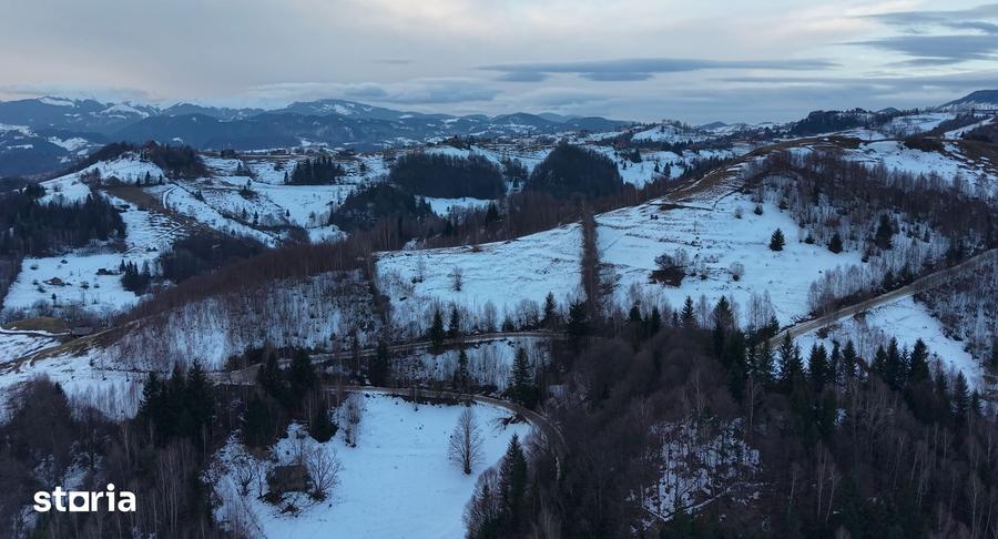 Teren de 8082 mp, în Moieciu