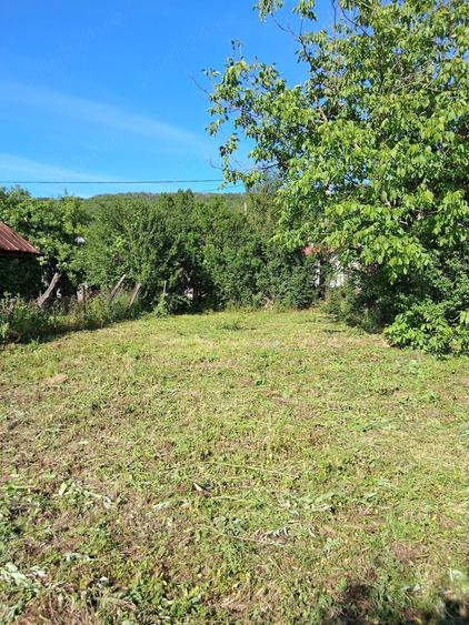 Teren de 3261 mp, în Aninoasa