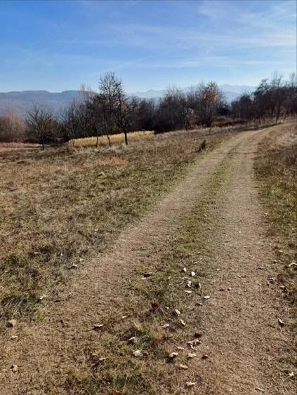 Teren de 10000 mp, în Valea