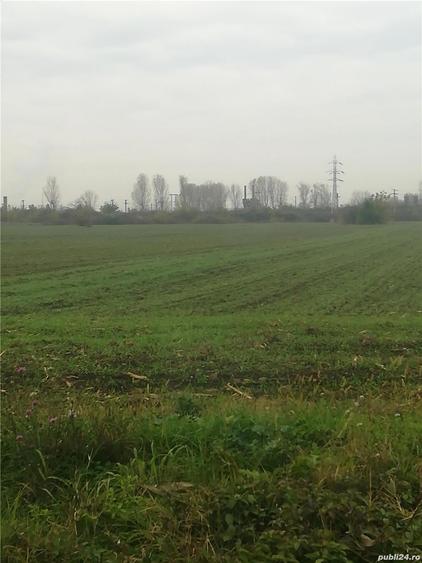Teren de 10000 mp, în Dorobanțul