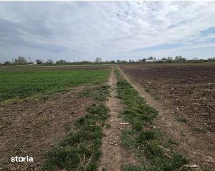 Teren de 300 mp, în Salca