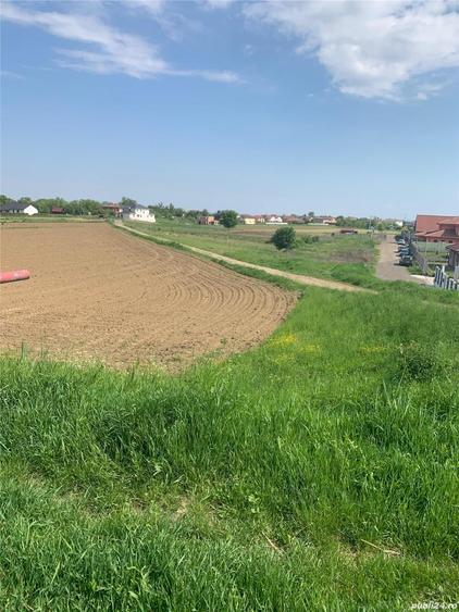 Teren în Central