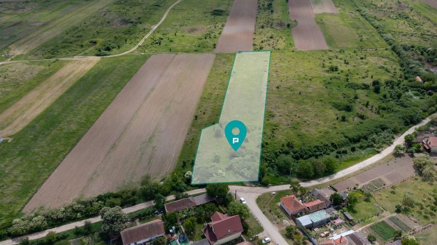Teren de 5000 mp, în Urseni