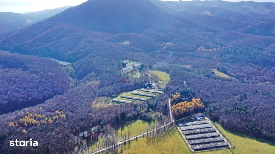 Teren de 186000 mp, în Dumbrăvița