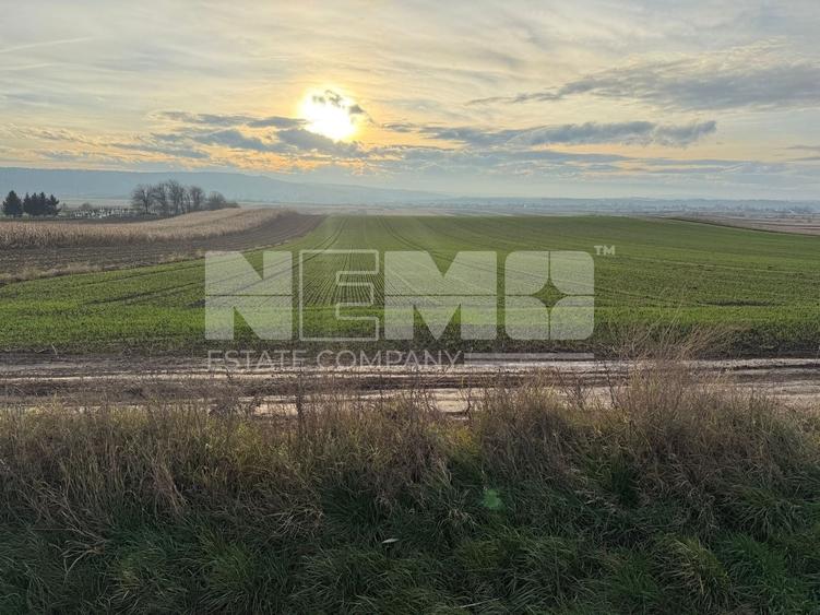 Teren agricol extravilan de 12400000 mp, în Grănicești