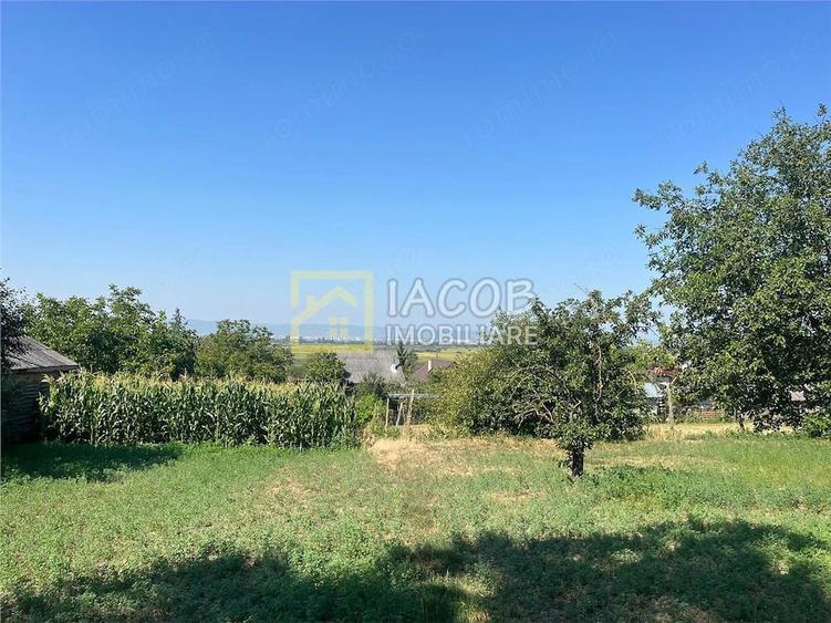 Teren de 1541 mp, în Buhoci
