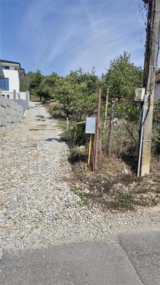Teren Construcții intravilan de 3600 mp, în Podgoria