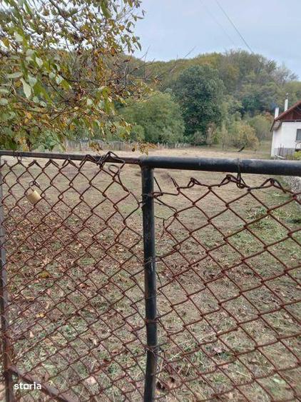 Teren de 3350 mp, în Schela