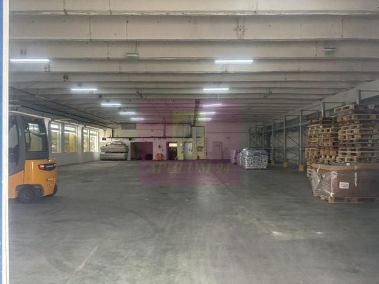 Hale industriale cu parcari multiple Bragadiru Sos Alexandriei stradal - 23