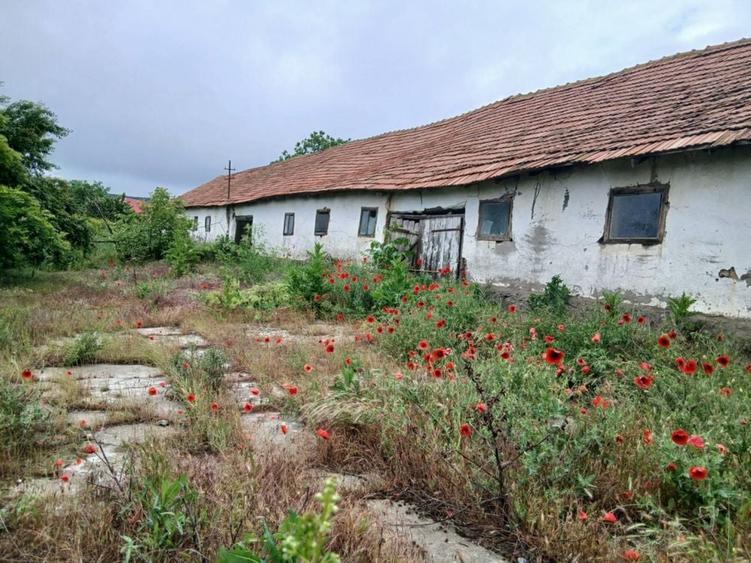 Spațiu comercial, în Vasile Alecsandri