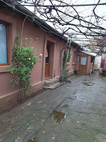 Casă în Micro 5