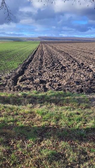 Teren agricol extravilan de 3678 mp, în Mitocu Dragomirnei