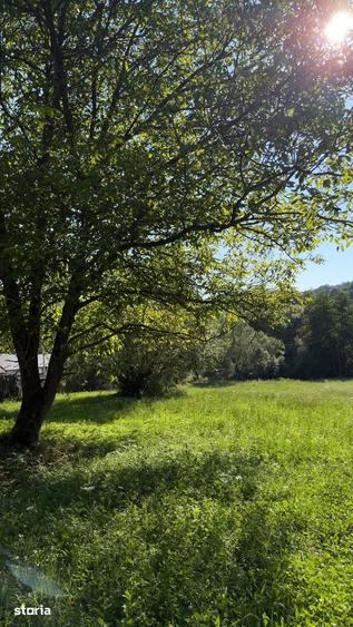 Teren Parau | Valea Danului, Curtea de Arges | Vidraru | - 12
